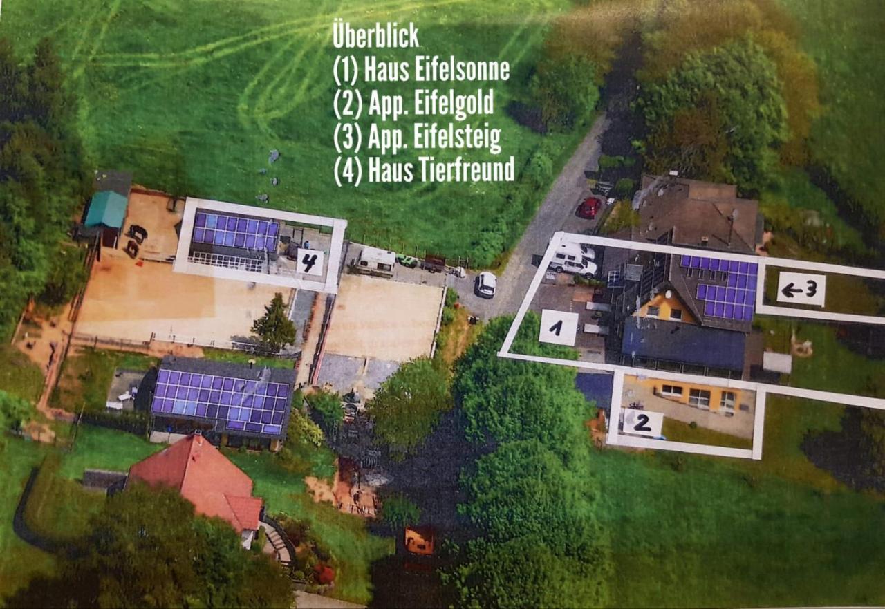 Appartement Eifelsteig Hollerath Eksteriør billede
